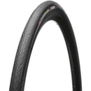 Fusion 5 All Season Tire - 700 x 25, Clincher, Folding, Black, ProTech