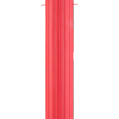 Zaffiro Pro Home Trainer