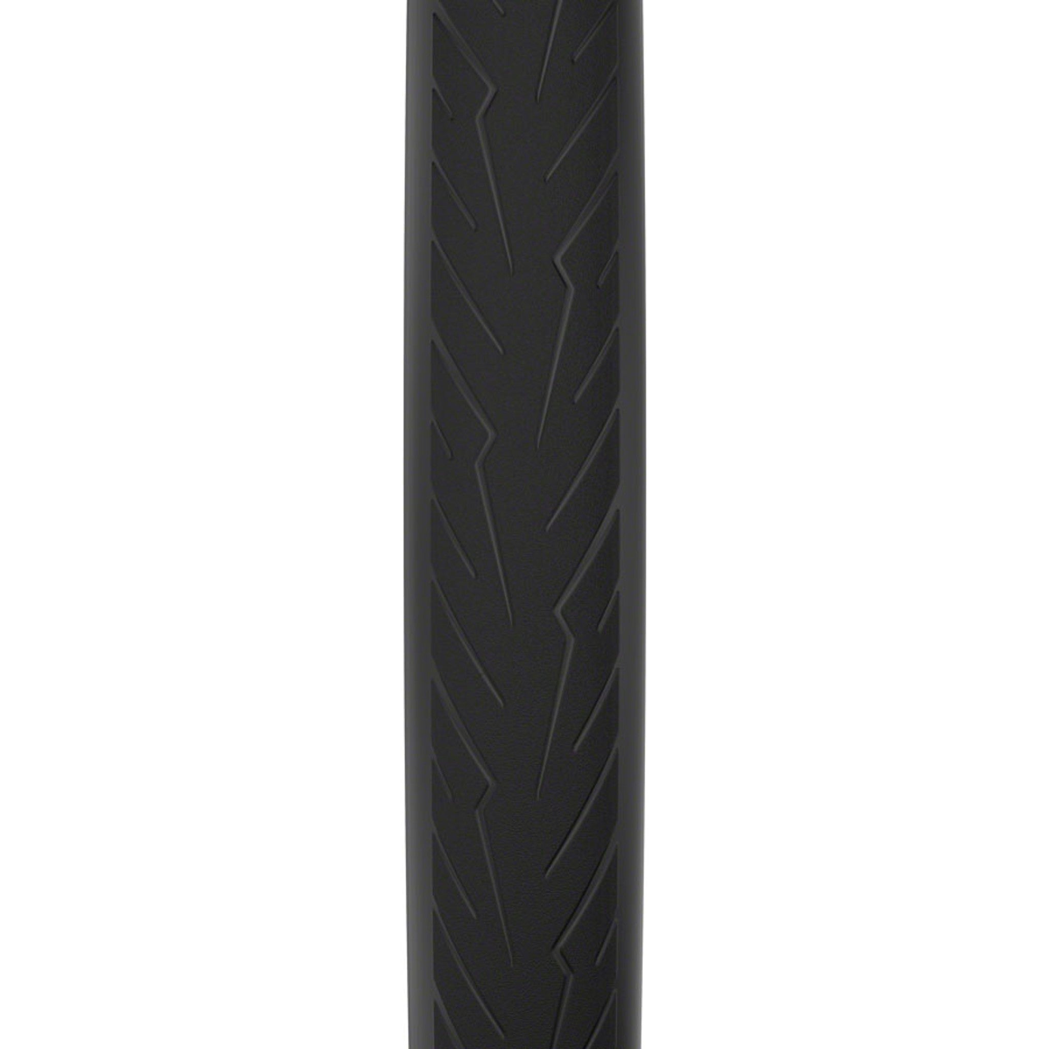 Cinturato Velo TLR Tire