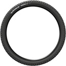 Wild XC Performance Tire