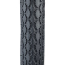 Schwinn Tire