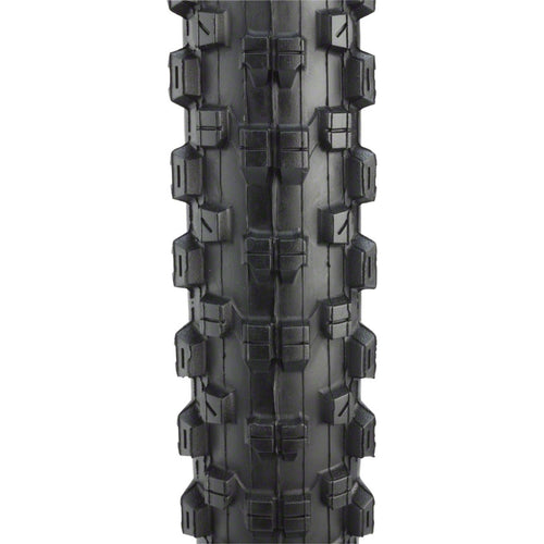 Nevegal Sport Tire