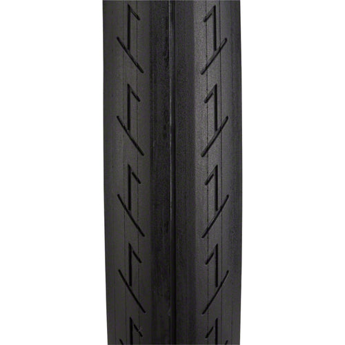 Animal T1 Tire - 20 x 2.4, Clincher, Wire, Black, 60tpi