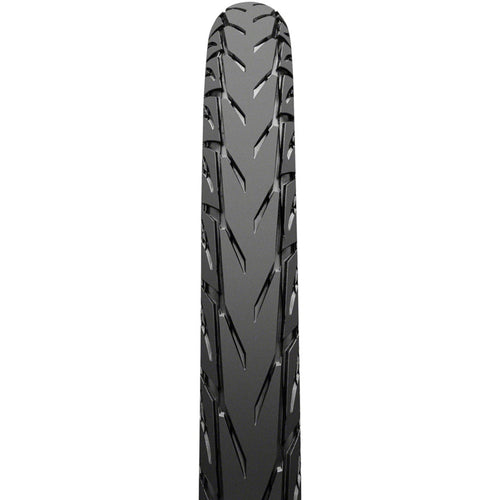 Contact Plus City Tire