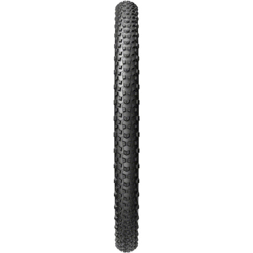 Scorpion Trail M Tire