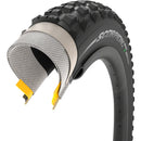 Scorpion Enduro R Tire