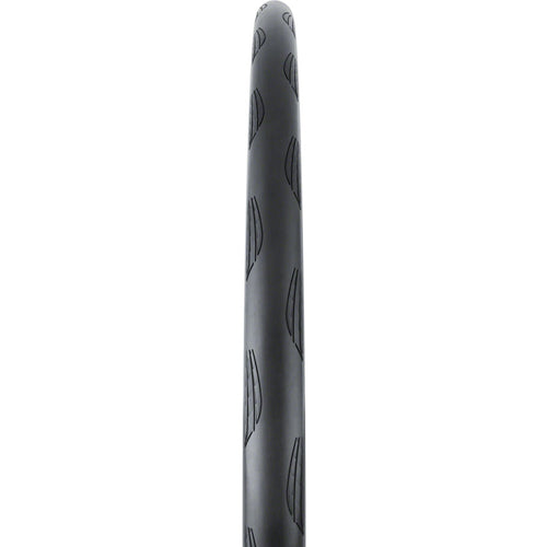 Grand Prix TR Tire