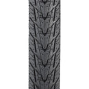 Daily Driver Tire - 700 x 38, Black, Rigid Wire Bead, Reflective Sidewall, 33tpi