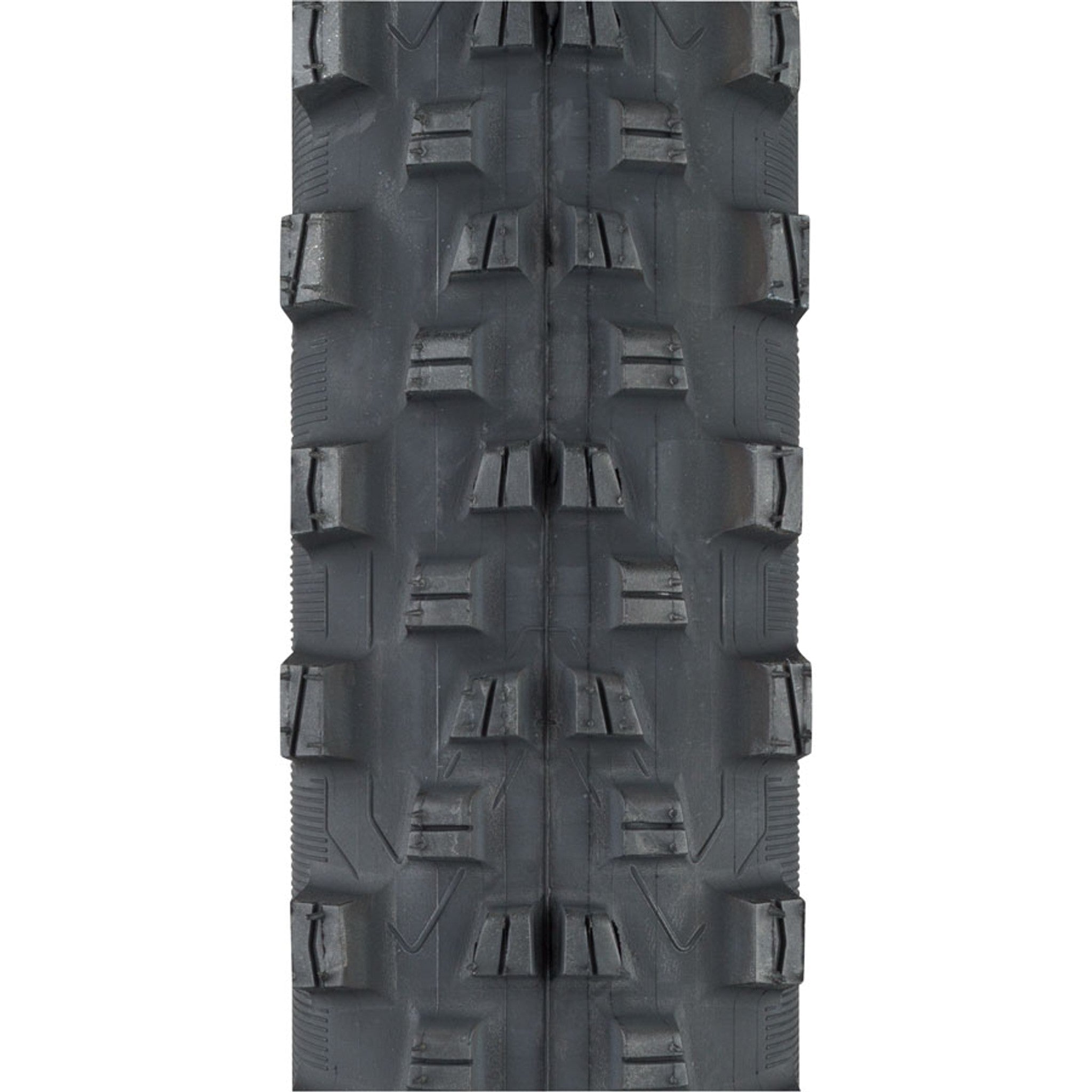 Wild AM Tire
