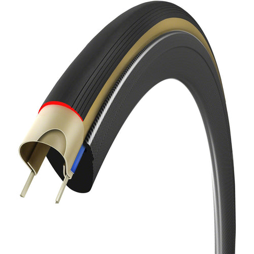 Corsa Pro Speed Tire