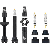 Tubeless Valve Stem Kit