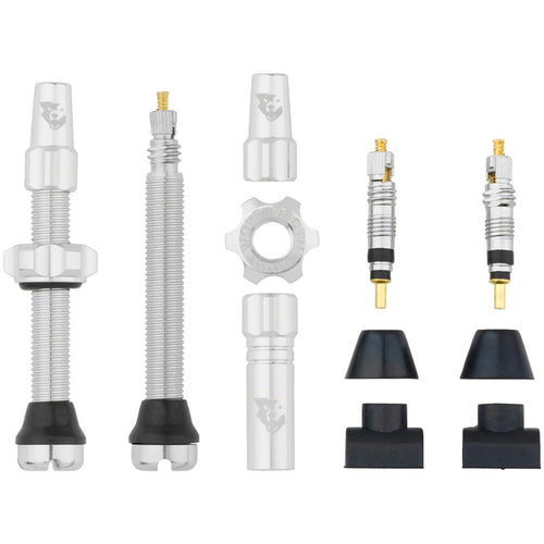 Tubeless Valve Stem Kit