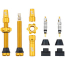 Tubeless Valve Stem Kit