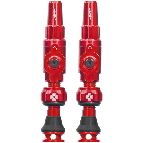 Big Bore Lite Tubeless Valve Stems
