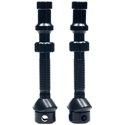 Tubeless Exo-Core Valves