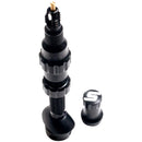 Tubeless Exo-Core Valves