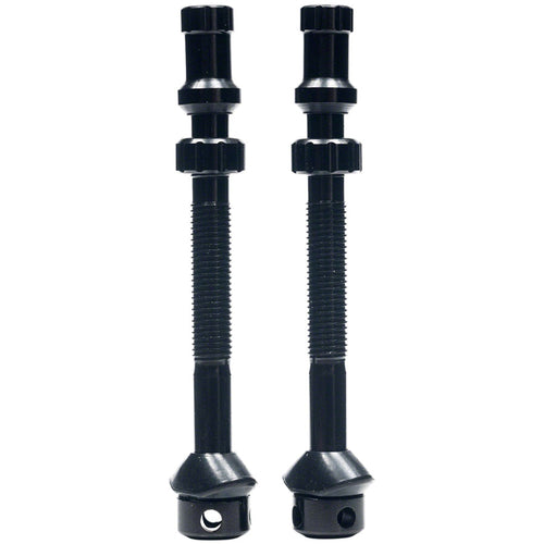 Tubeless Exo-Core Valves