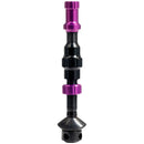 Tubeless Valve Cap Color Kit