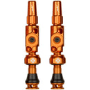 Big Bore Lite Tubeless Valve Stems
