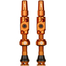 Big Bore Lite Tubeless Valve Stems