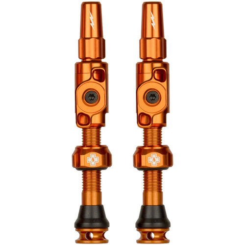 Big Bore Lite Tubeless Valve Stems