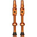Big Bore Lite Tubeless Valve Stems