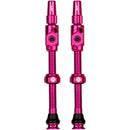 Big Bore Lite Tubeless Valve Stems