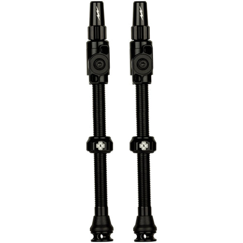 Big Bore Lite Tubeless Valve Stems
