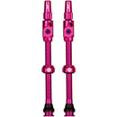 Big Bore Lite Tubeless Valve Stems