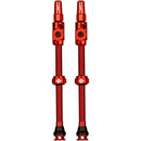 Big Bore Lite Tubeless Valve Stems