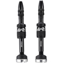Quickfill Plasma Tubeless Valves