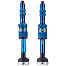 Quickfill Plasma Tubeless Valves