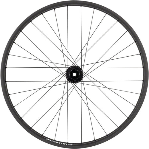 Blizzerk Rear Wheel