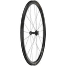 Campagnolo Hyperon Ultra Front Wheel - 700c, 12 x 100mm, Center-Lock, 2-Way Fit, Carbon