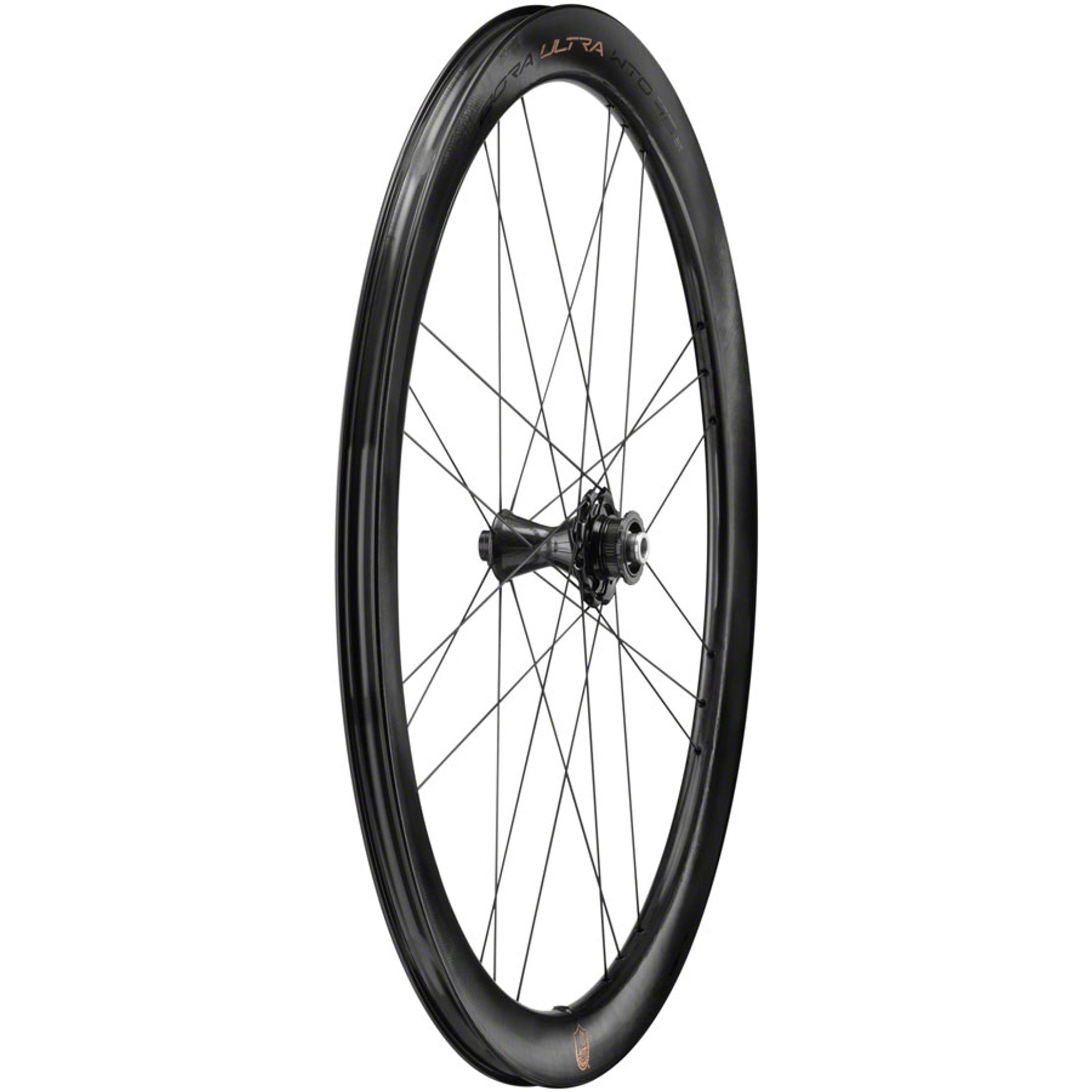 Campagnolo Bora Ultra WTO 45 Front Wheel - 700c, 12 x 100mm, Center-Lock, 2-Way Fit, Gray