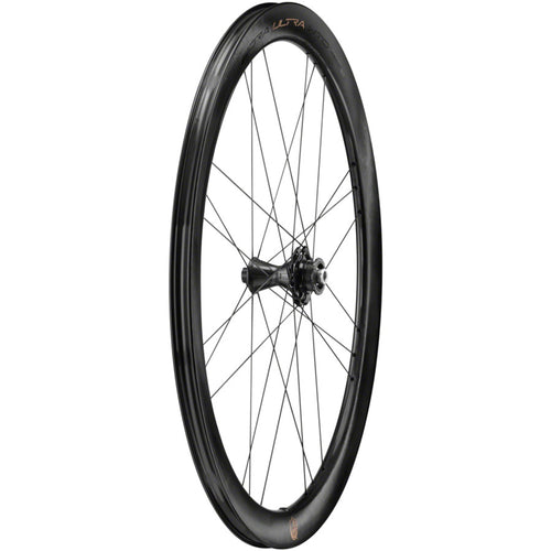 Campagnolo Bora Ultra WTO 45 Front Wheel - 700c, 12 x 100mm, Center-Lock, 2-Way Fit, Gray