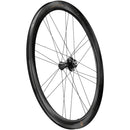Campagnolo Bora Ultra WTO 45 Front Wheel - 700c, 12 x 100mm, Center-Lock, 2-Way Fit, Gray