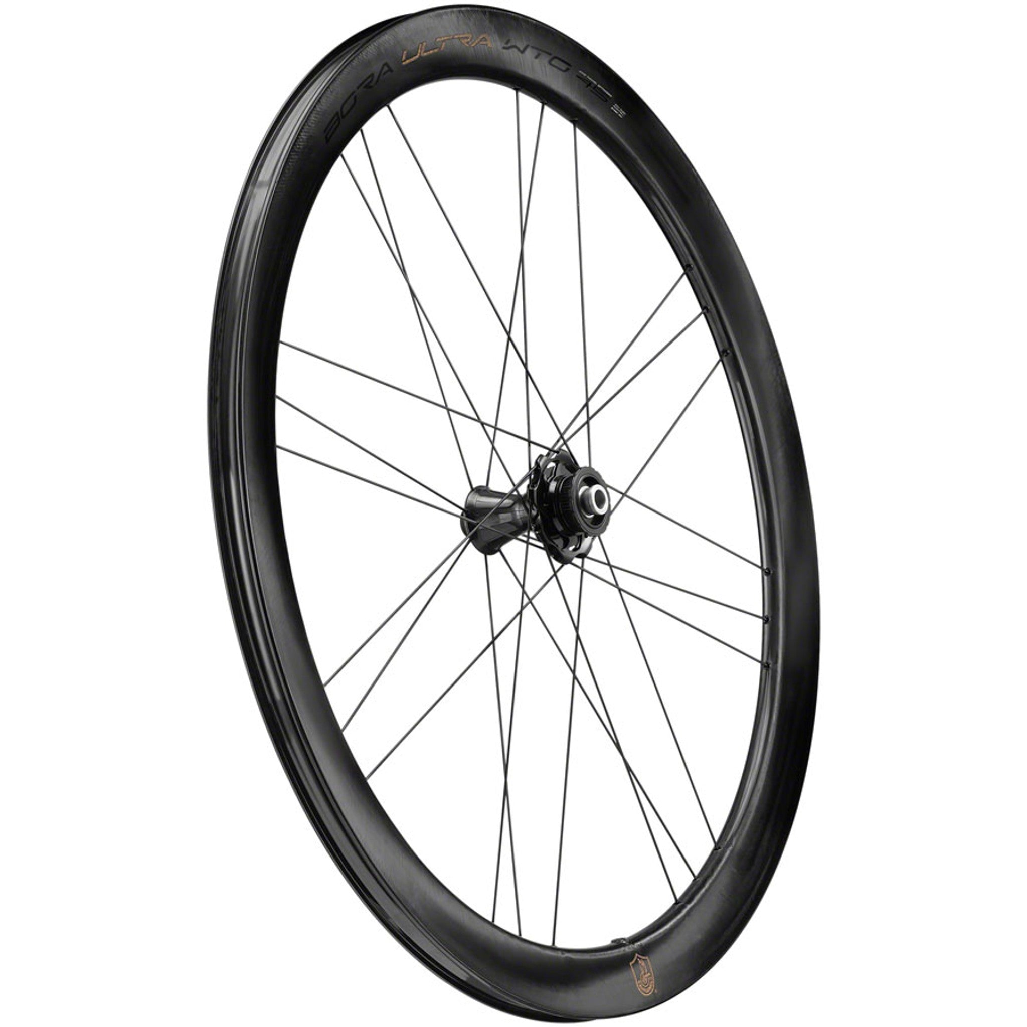 Campagnolo Bora Ultra WTO 45 Front Wheel - 700c, 12 x 100mm, Center-Lock, 2-Way Fit, Gray
