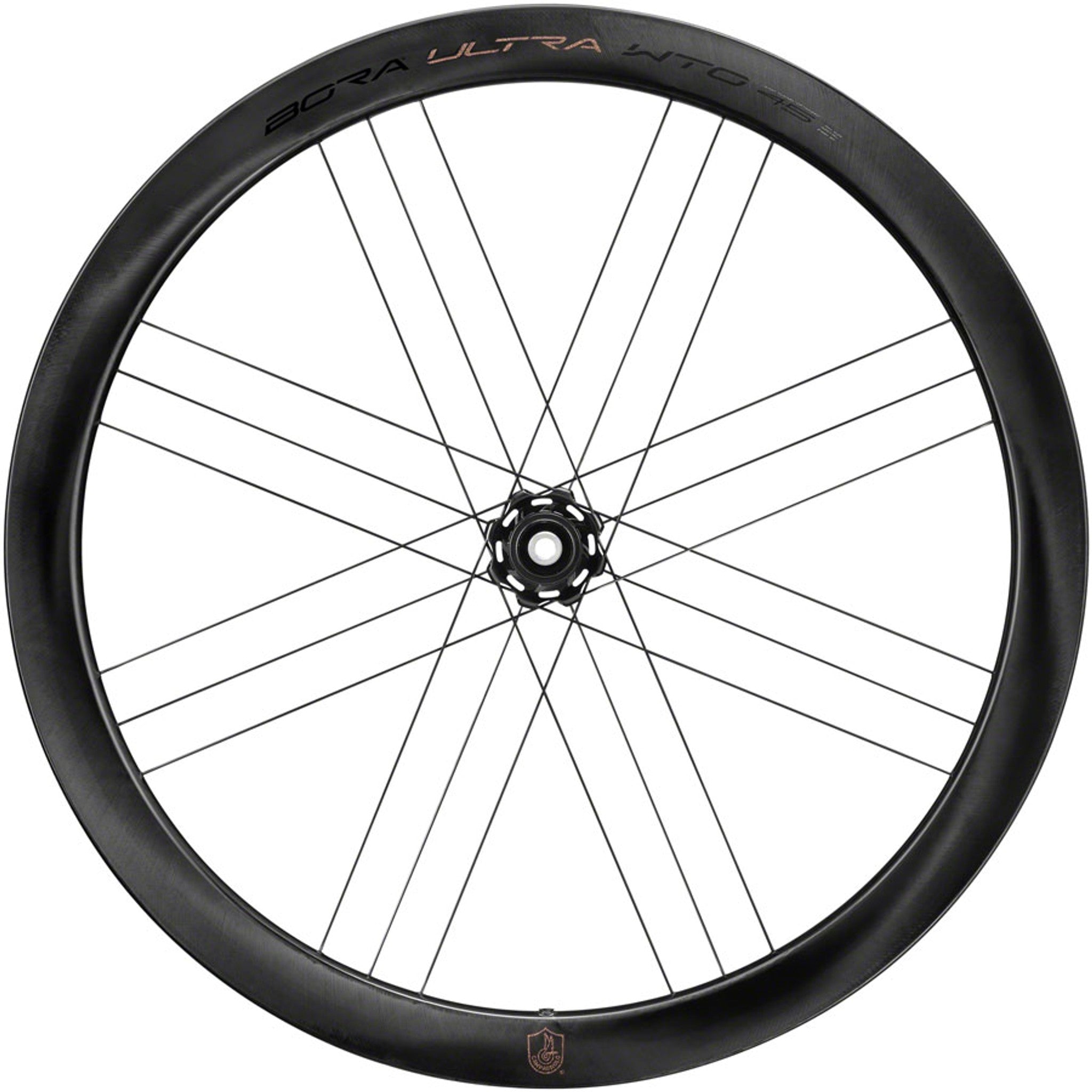 Campagnolo Bora Ultra WTO 45 Front Wheel - 700c, 12 x 100mm, Center-Lock, 2-Way Fit, Gray