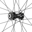 Campagnolo Levante Front Wheel - 700, 12 x 100mm, CenterLock, Black