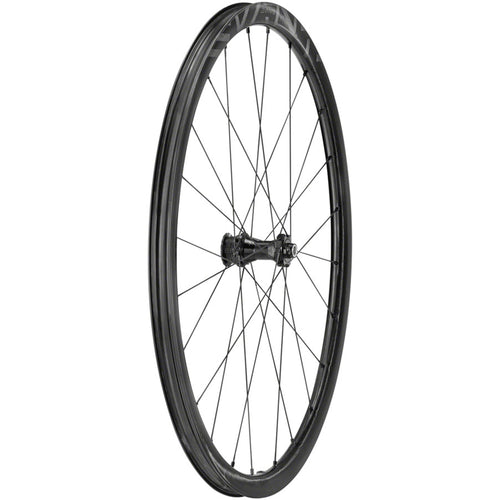 Campagnolo Levante Front Wheel - 700, 12 x 100mm, CenterLock, Black