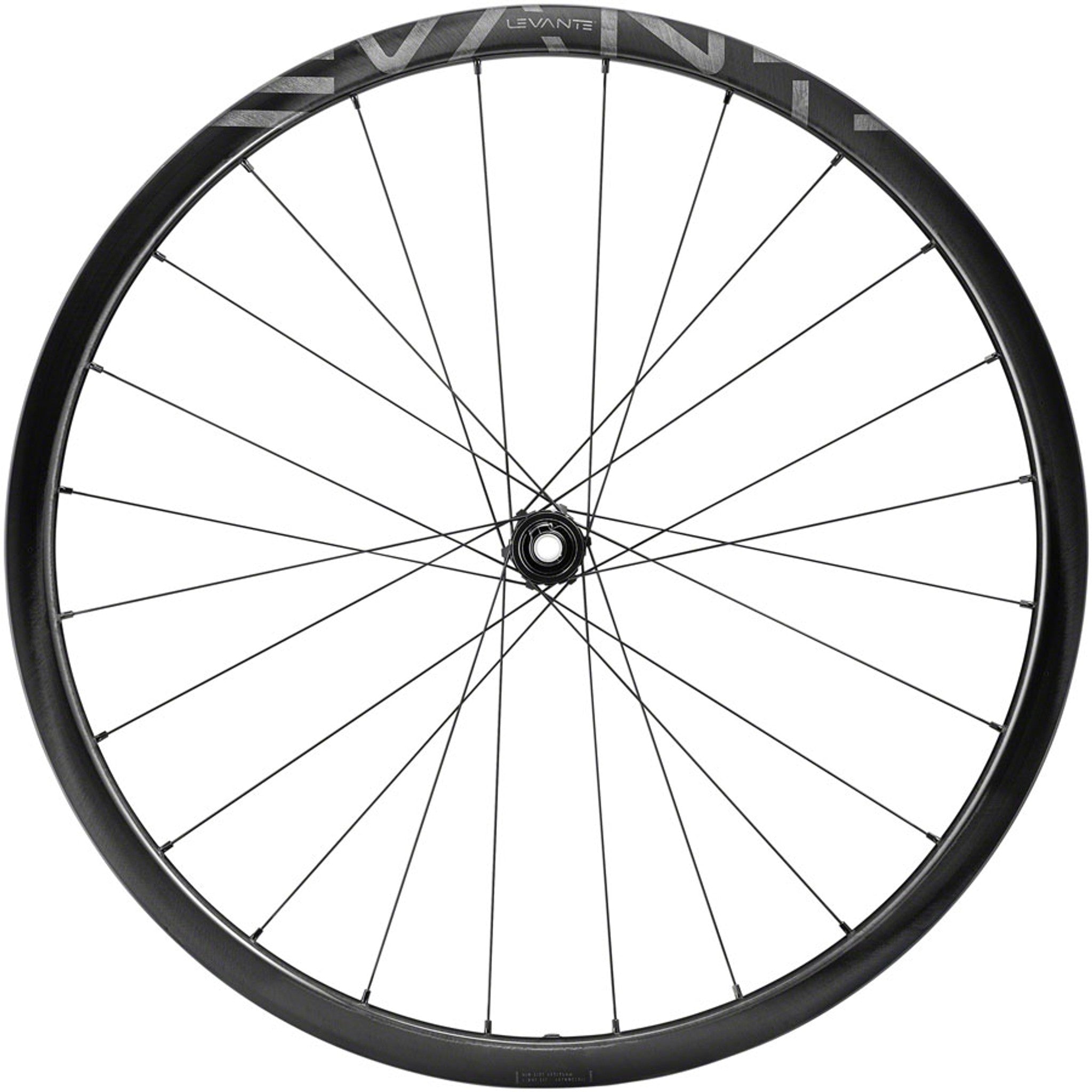 Campagnolo Levante Rear Wheel - 700, 12 x 142mm, CenterLock, N3W, Black