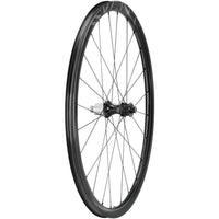 Campagnolo Levante Rear Wheel - 700, 12 x 142mm, CenterLock, N3W, Black