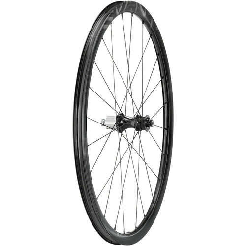 Campagnolo Levante Rear Wheel - 700, 12 x 142mm, CenterLock, N3W, Black