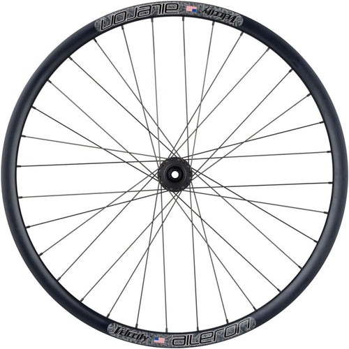 Velocity Aileron Disc Rear Wheel