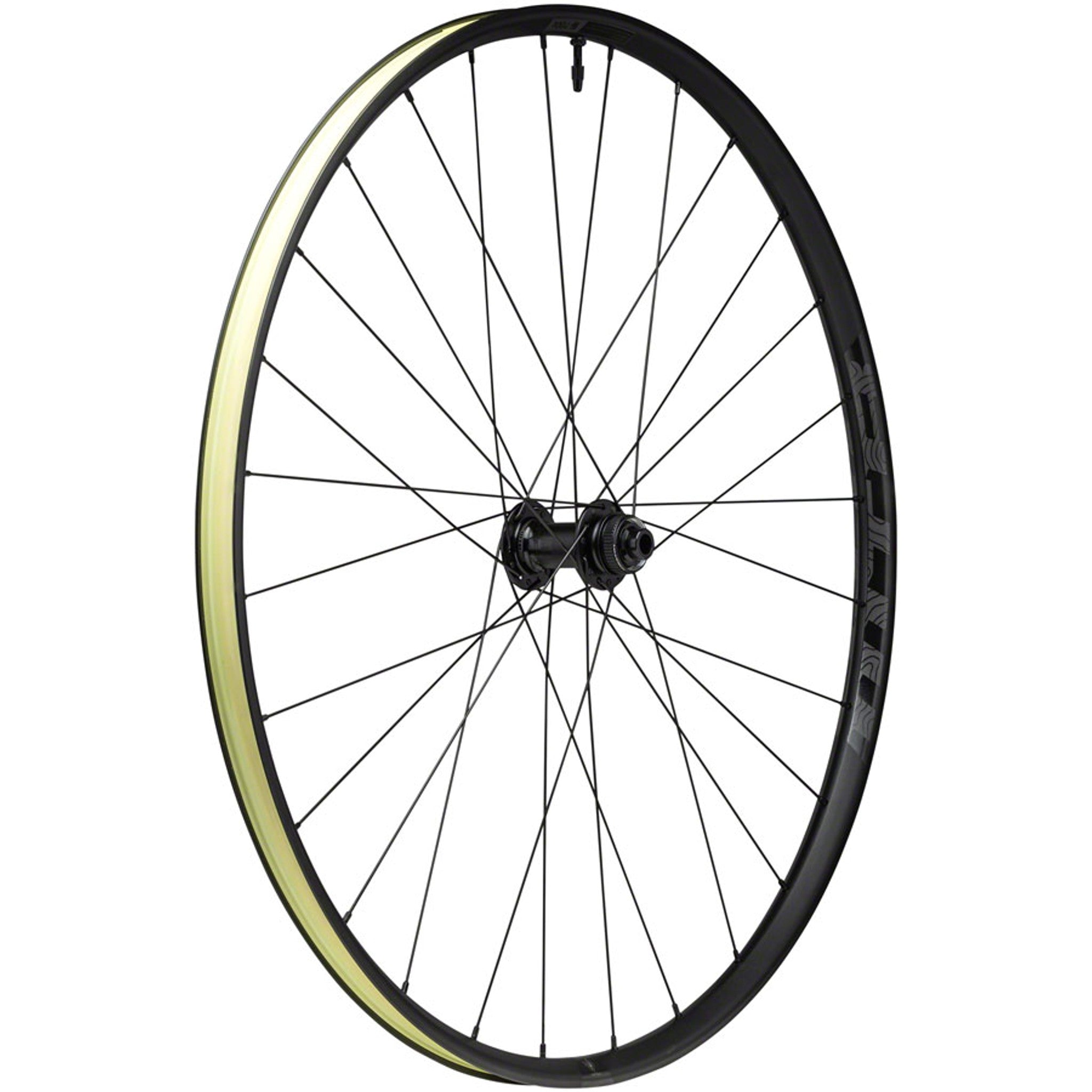 Proterra Light i25 Front Wheel - 700, 12 x 100mm, Center-Lock, Black, 28H