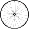Proterra Light i25 Front Wheel - 700, 12 x 100mm, Center-Lock, Black, 28H