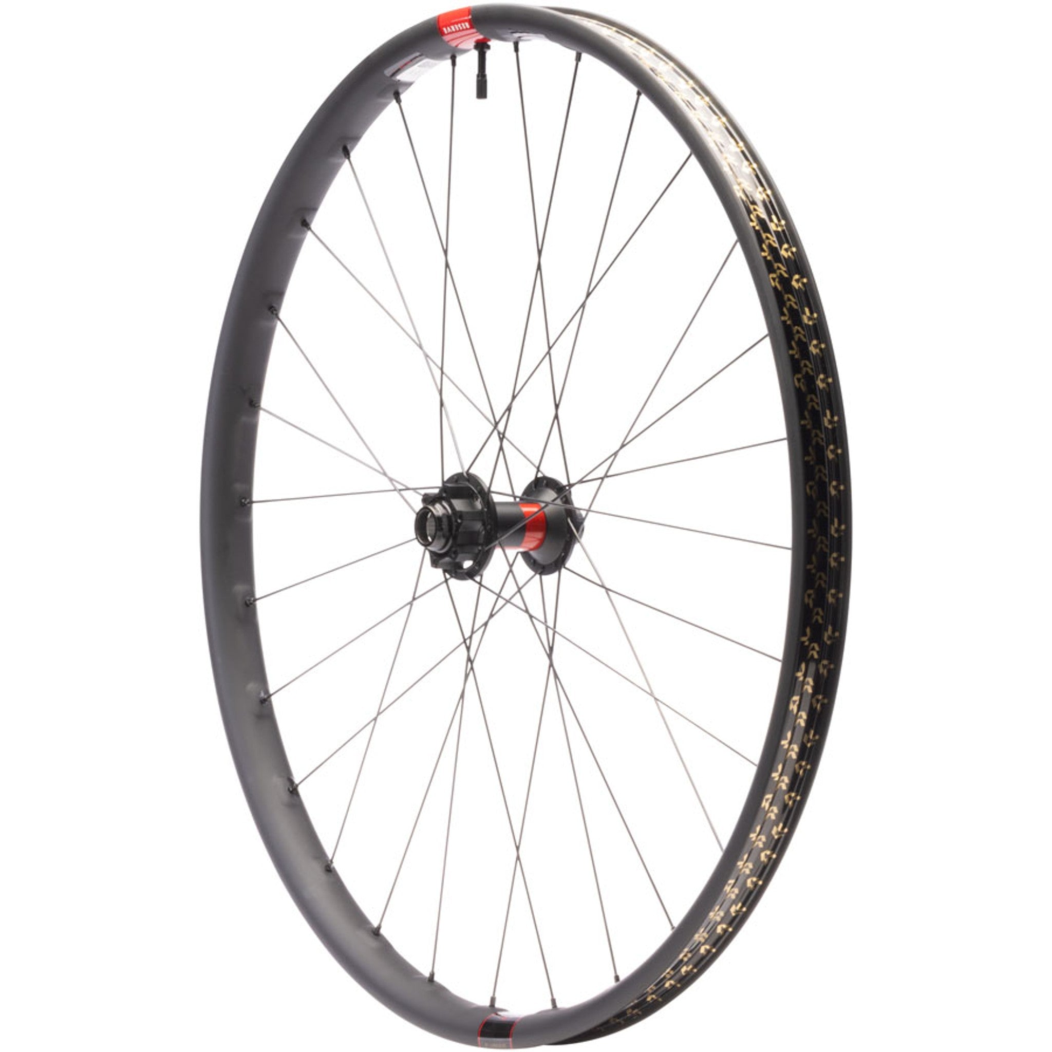 DT 240 / Reserve 30 HD Carbon Front Wheel