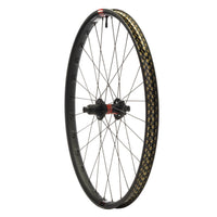DT 240 / Reserve 30 HD Carbon Rear Wheel