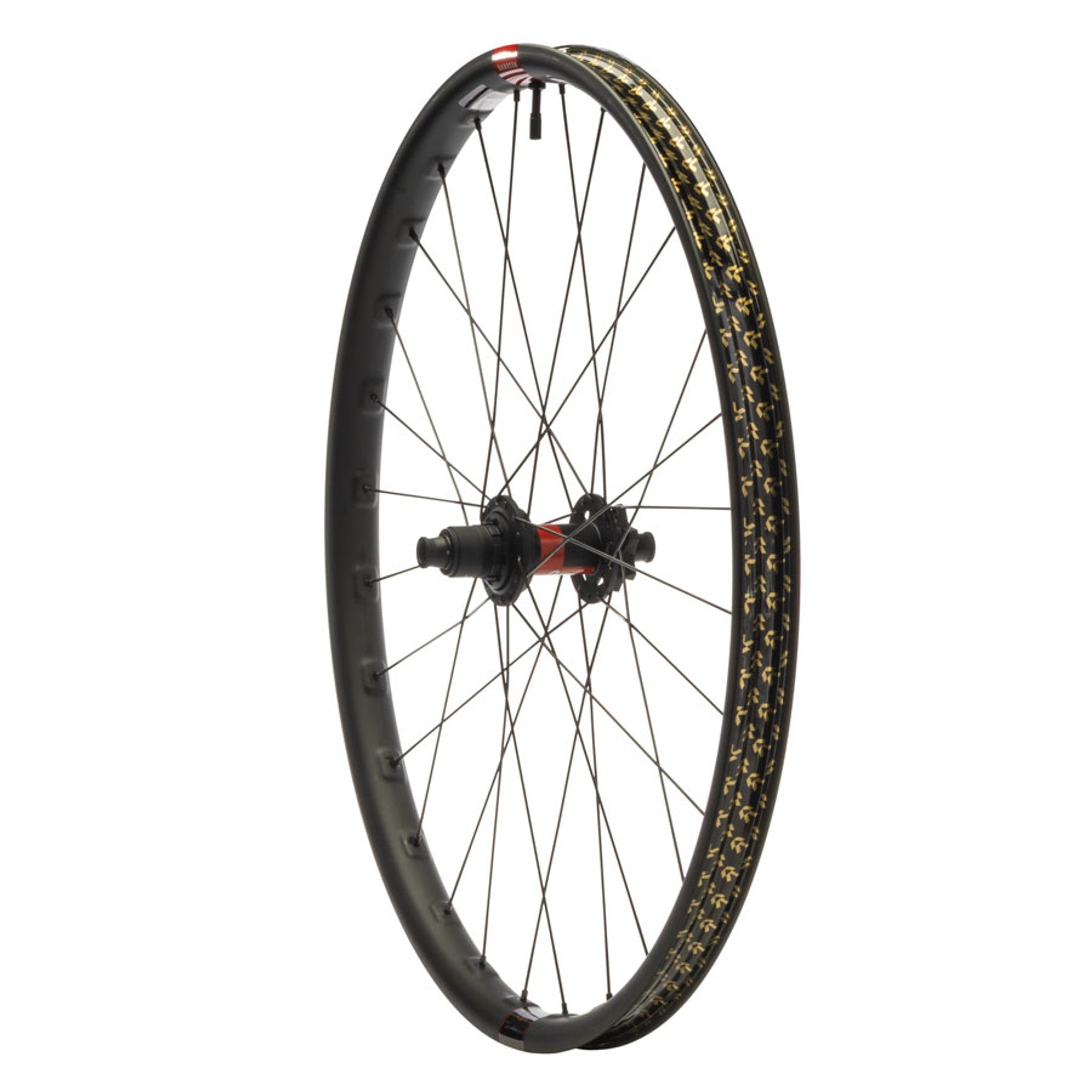 DT 240 / Reserve 30 HD Carbon Rear Wheel